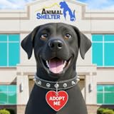 Mundo de rescate de mascotas: simulador de hogar, cuidado de animales, juegos virtuales