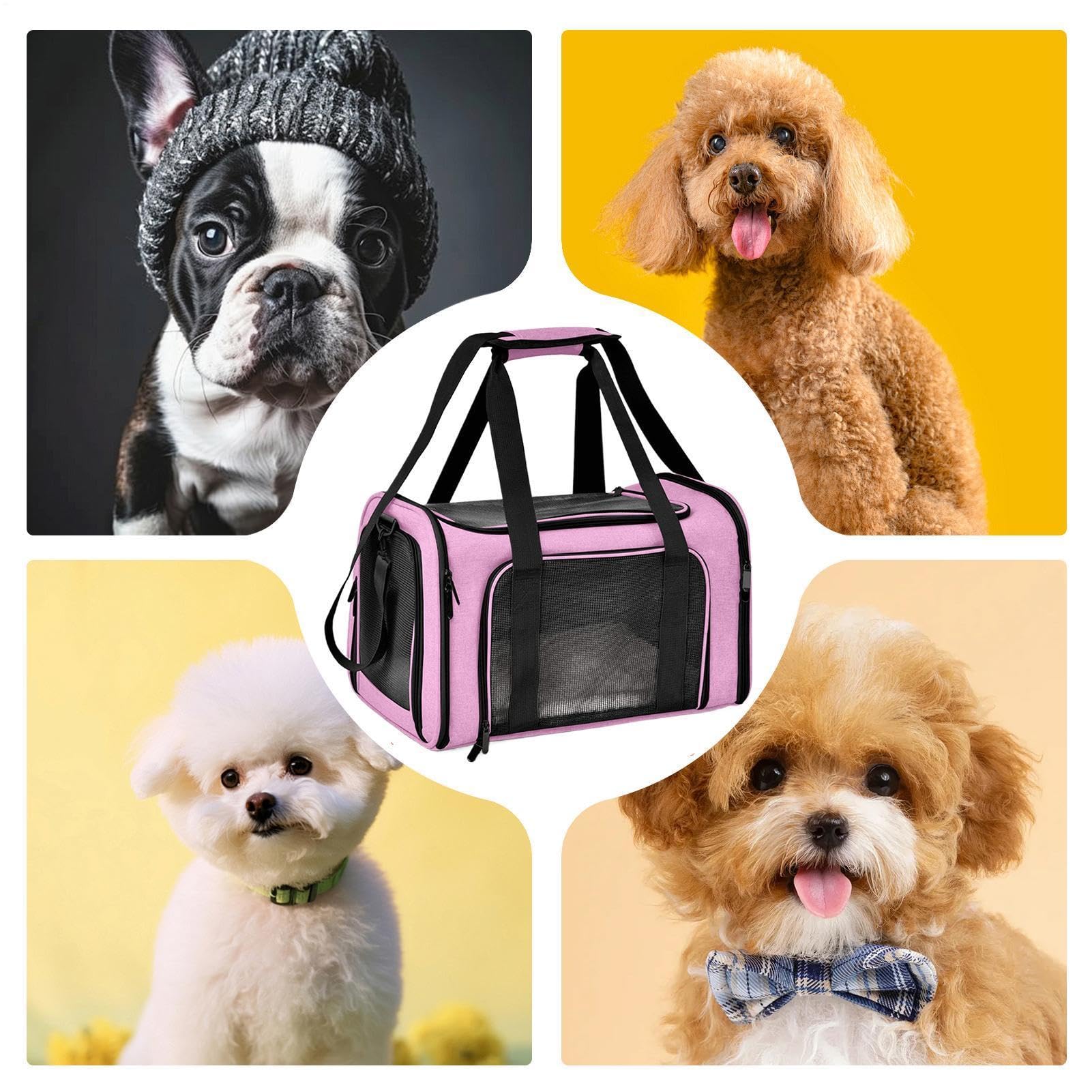 La Borsa da Trasporto di Gatti Traspirante, Comodo, Portatile e | Borsa Leggera Porta Animali Domestici Da Viaggio E Campeggio Borsa Per Gatti Portatile Traspirante Comoda