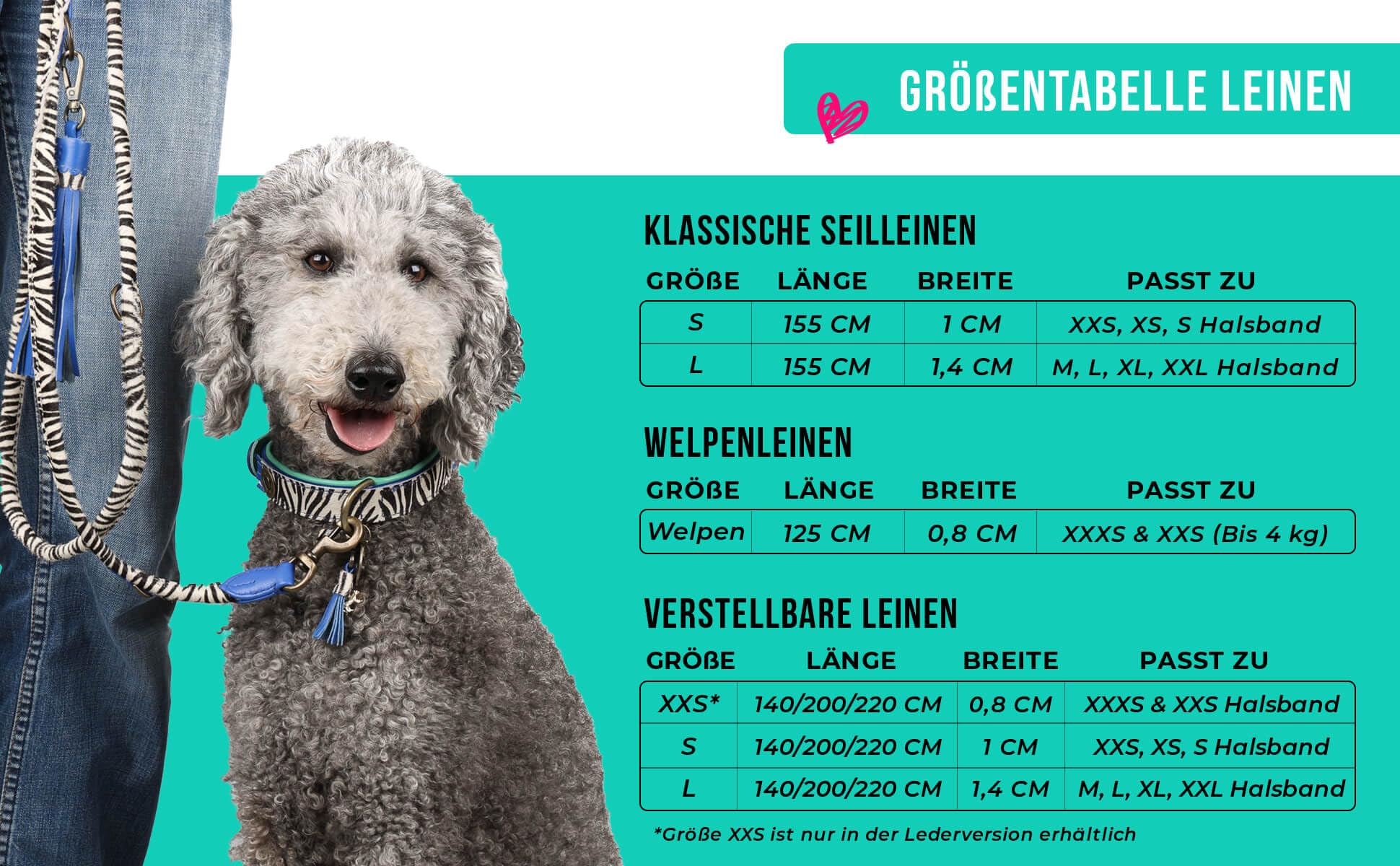 Dog with a Mission - Hundeleine S | Orangefarbene Tauseilleine für kleine Hunde | Robuste Führleine mit stabiler Karabinerhaken - 220 cm x 1 cm | Polyester & Leder - Frisch und auffällig