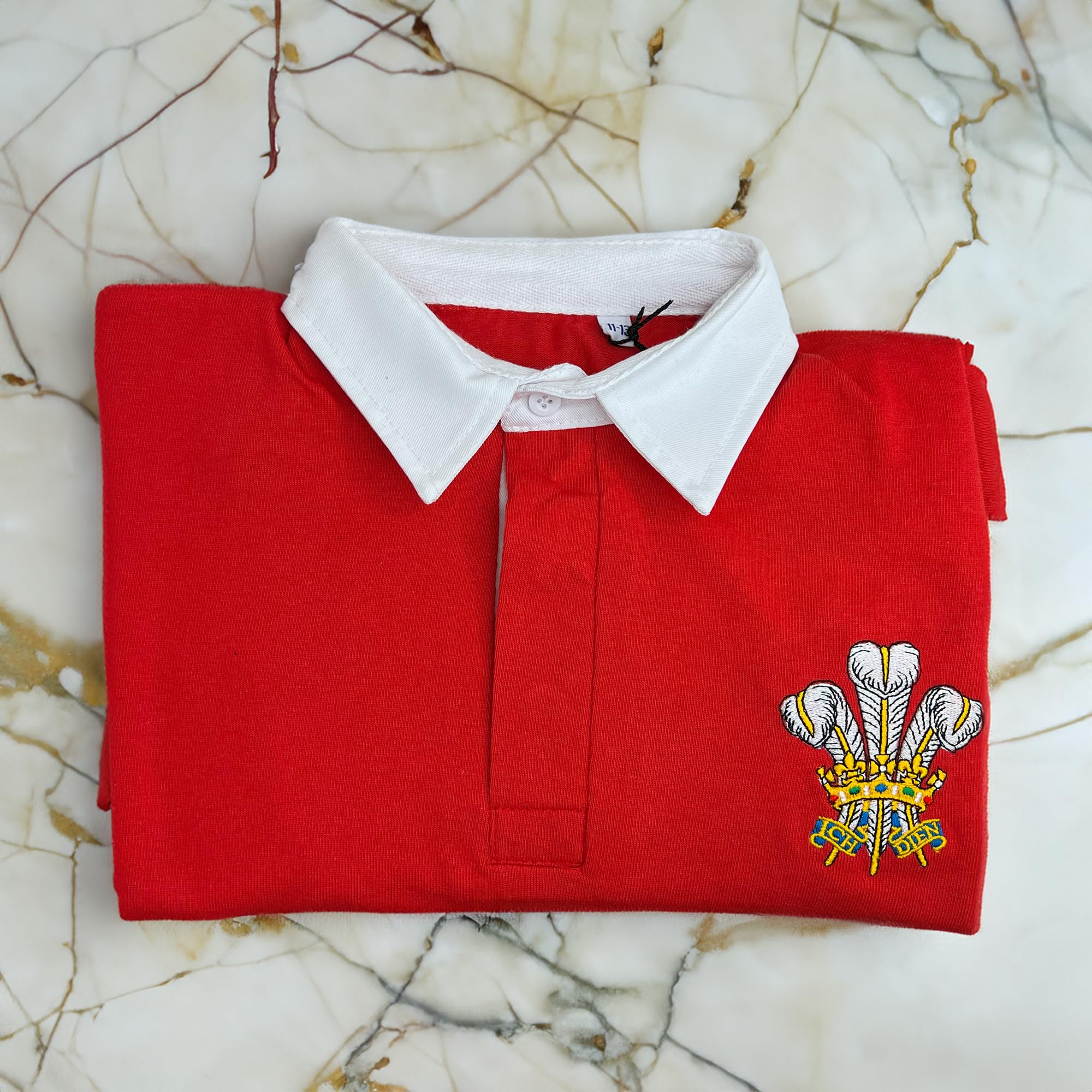 Walisisches klassisches Rugby-Shirt für Kinder, bestickt, Prinz von Wales, Federn, Jersey, Cymru Jungen