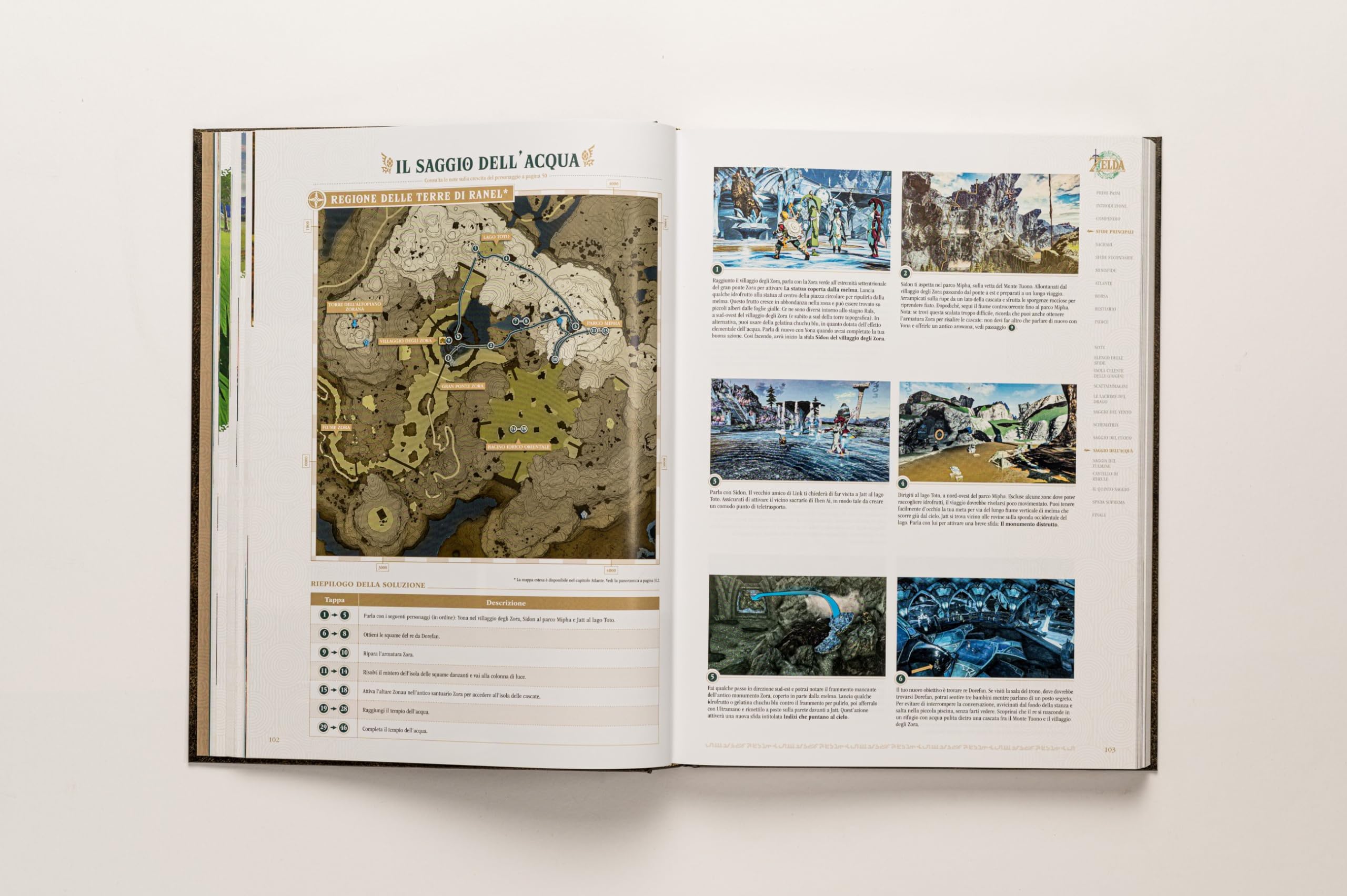 THE LEGEND OF ZELDA ™ : TEARS OF THE KINGDOM -LA GUIDA UFFICIALE COMPLETA - EDIZIONE DA COLLEZIONE - IN ITALIANO (Italiano)