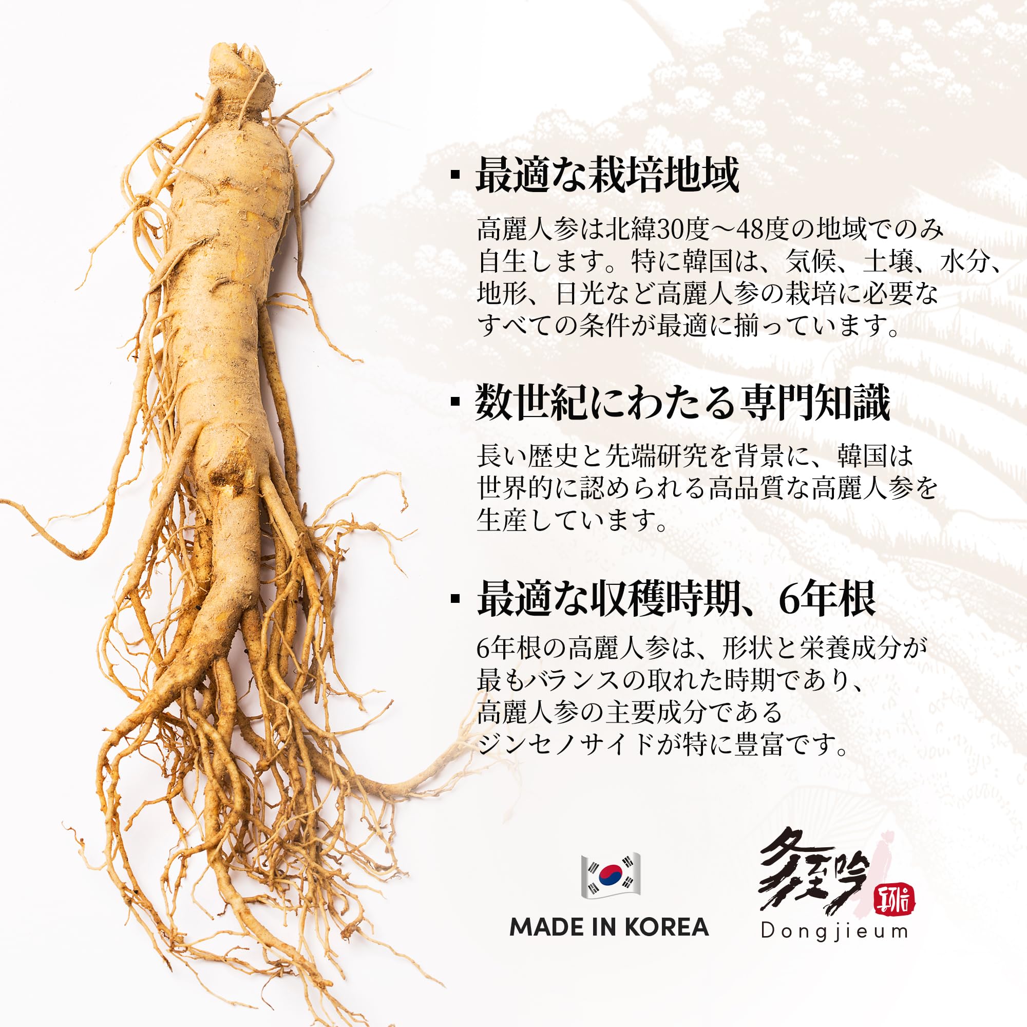 Amazon | Dongjieum(冬至吟/トウジギン) 高麗紅参カプセル 6年根 高麗