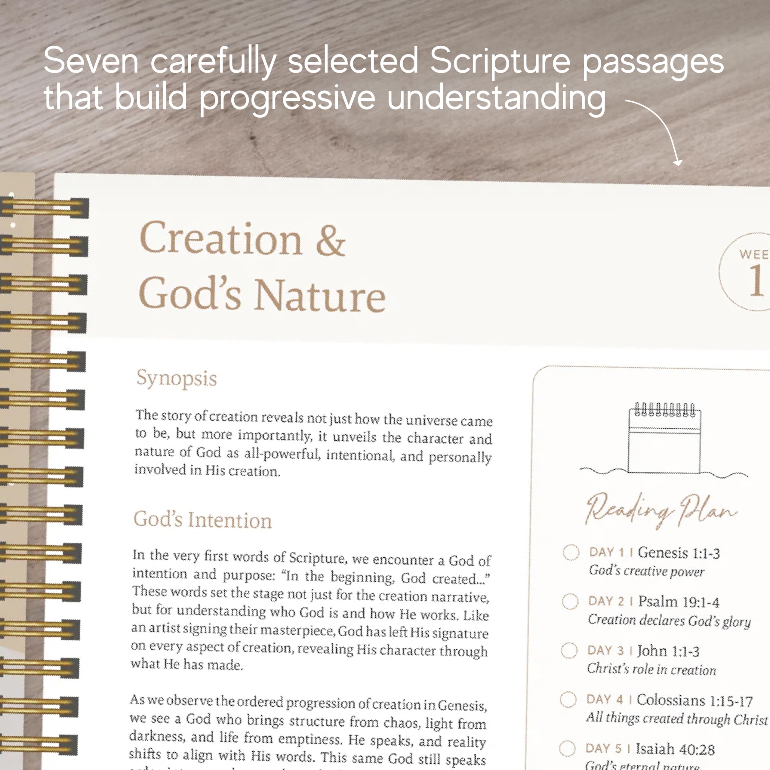 Official Spiral Bible The Bible in a Year | Studio biblico guidato di 52 settimane e piano di lettura giornaliero | Compagno spirituale e diario per adulti e adolescenti | Taccuino 21,6 x 27,9 cm |