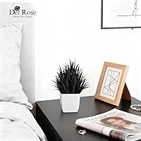 Vista 6 de Der Rose Paquete de 2 Pequeñas Plantas Falsas Negras Mini Plantas Artificiales en Maceta para Decoración de Halloween Mesa Escritorio Hogar Oficina
