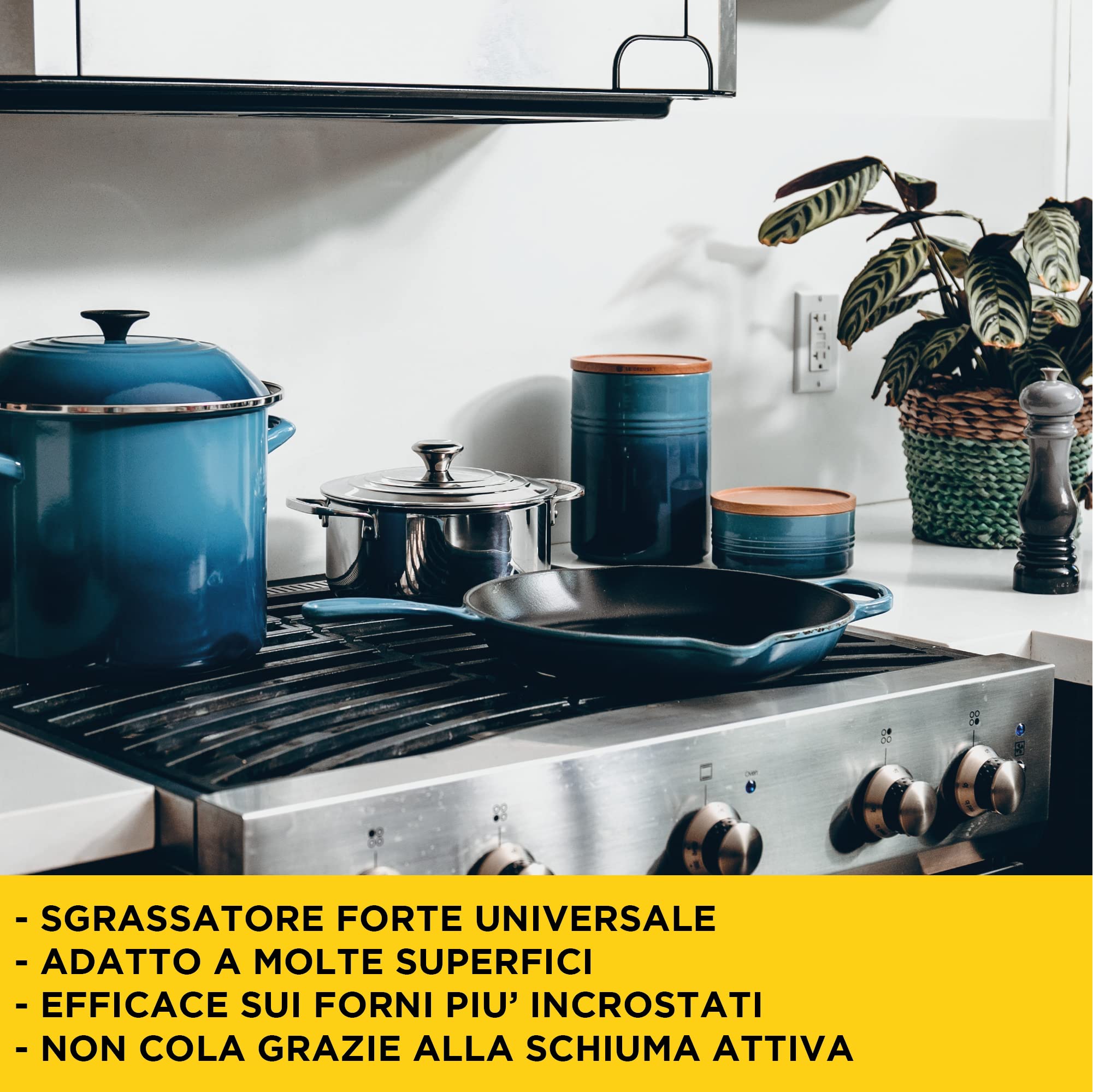 FILA POWER DEGREASER Professionale Universale a Schiuma Attiva 750ml