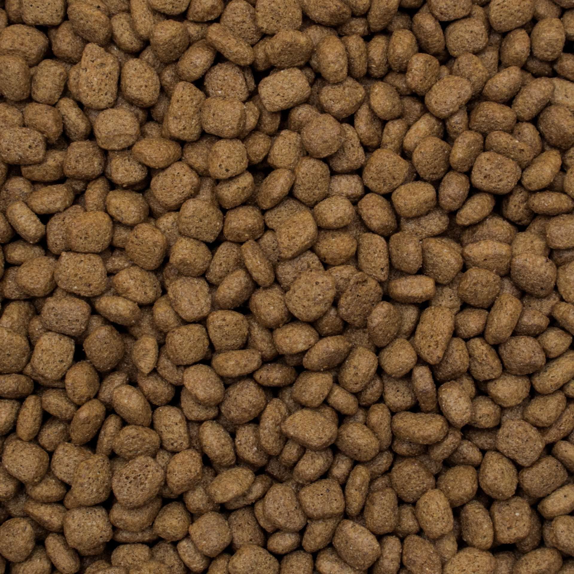 Sucha karma premium z kaczką i ryżem dla dorosłych psów małych ras 8kg