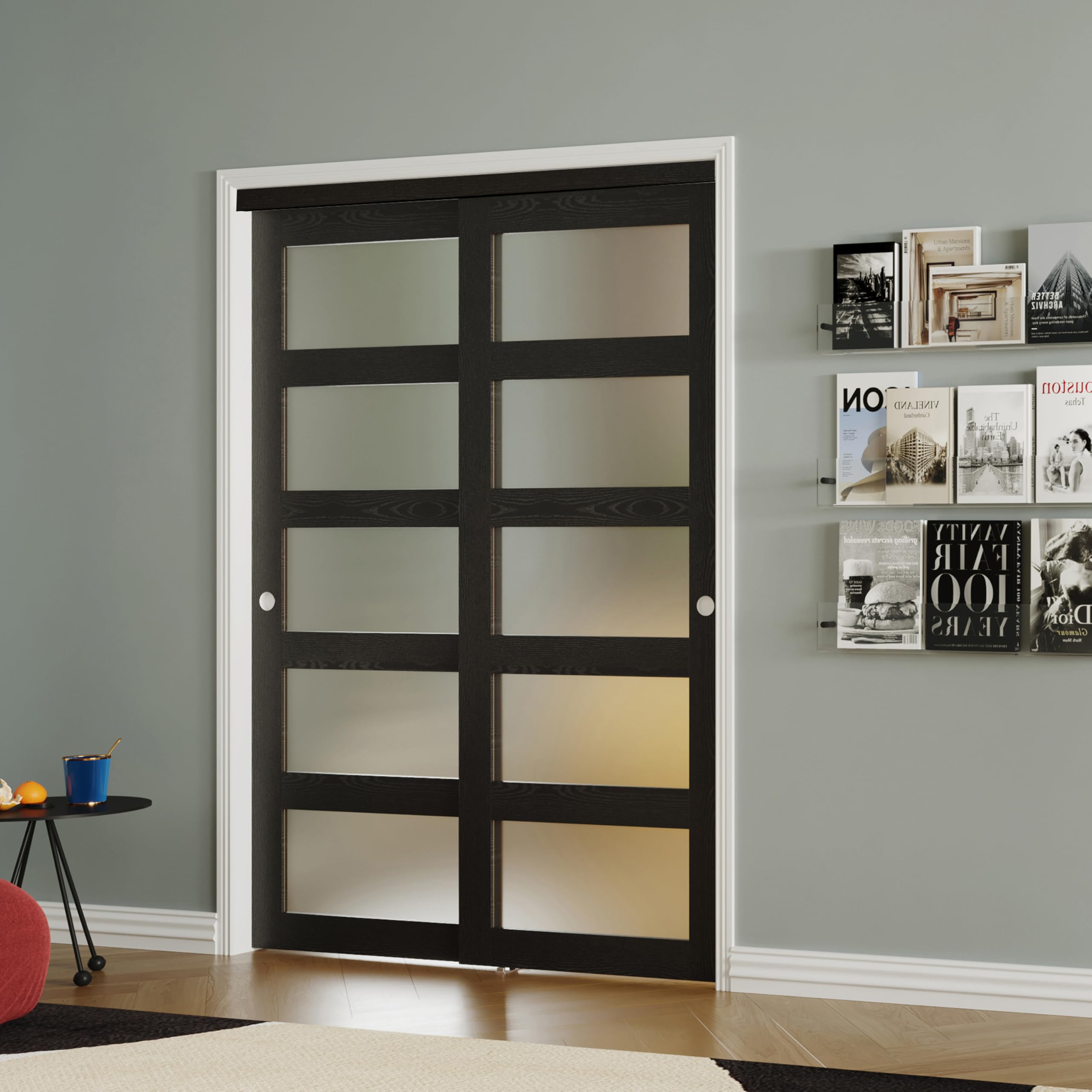 SOLRIG 5-Lite Frosted Glass Sliding Closet Door in Black