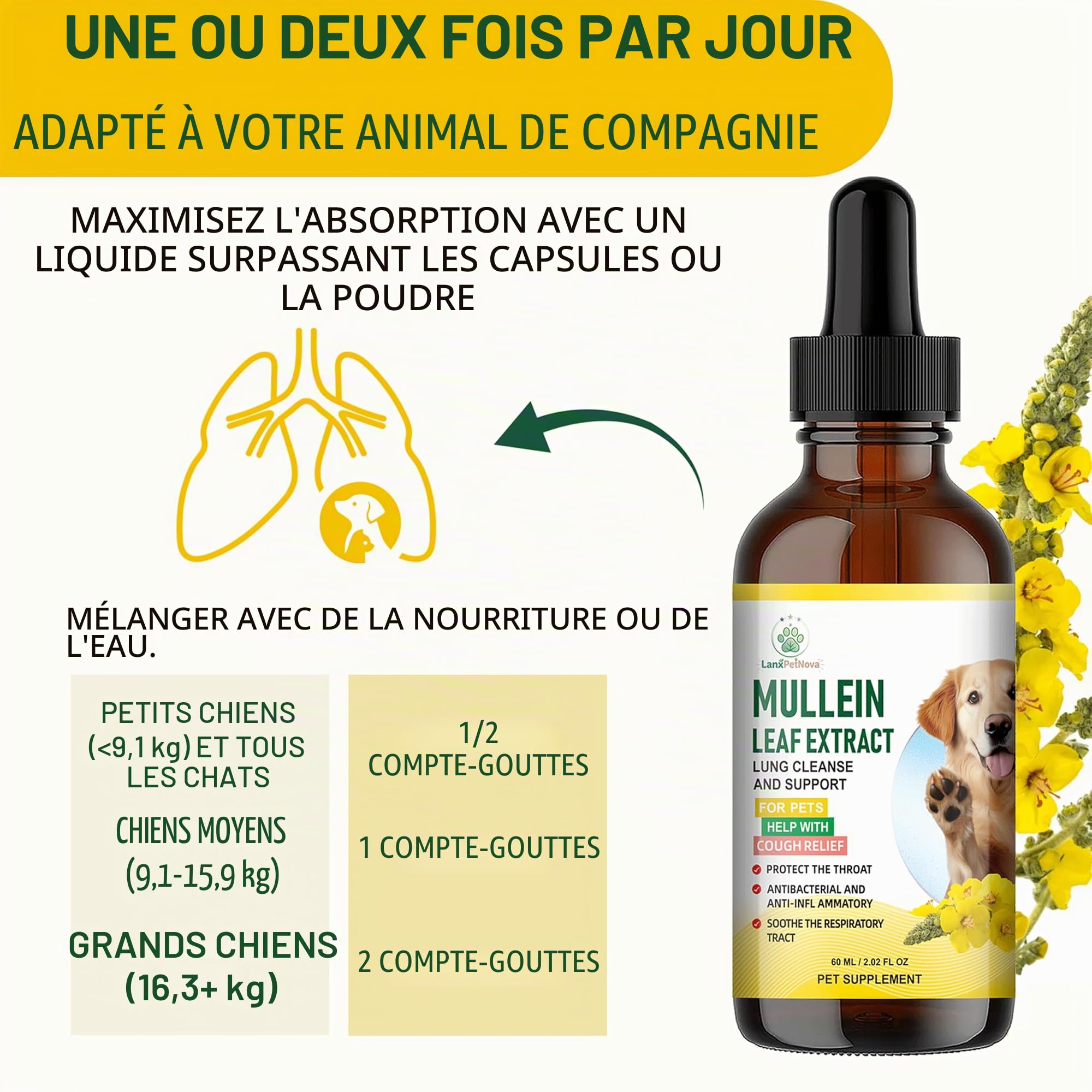 Gouttes de molène, Soutien pulmonaire et antitussif pour Chiens et Chats. Atténue la toux de chenil, la toux sèche et grasse, nettoie Les poumons,apaise la Gorge irritée et facilite la Respiration