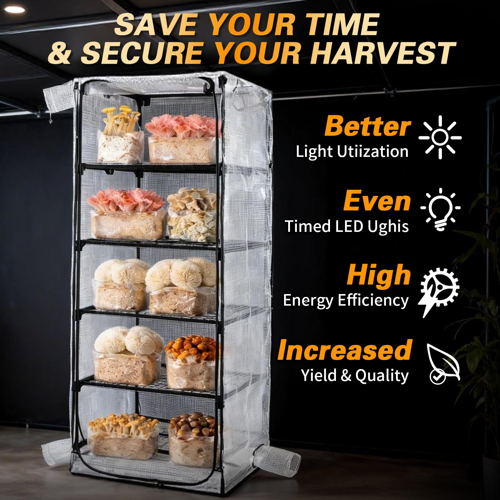 magic mushroom grow tent Tent, Martha for Mushroom Growing kit, Mini Greenhouse Indoor, Sturdy Racks can accommodate a Variety of Mushrooms, Including Trays, Fruiting Blocks & Grow Kits (Mushroom Grow Tent) Best Choice Products 10x10ft 1-Person Setup Pop Up Canopy Tent Instant Portable Shelter w/ 1-Button Push  Case  4 Weight Bags - Dark Green Color Name:5 SPD/RED Gebrauchtes Fahrrad in Oldenburg