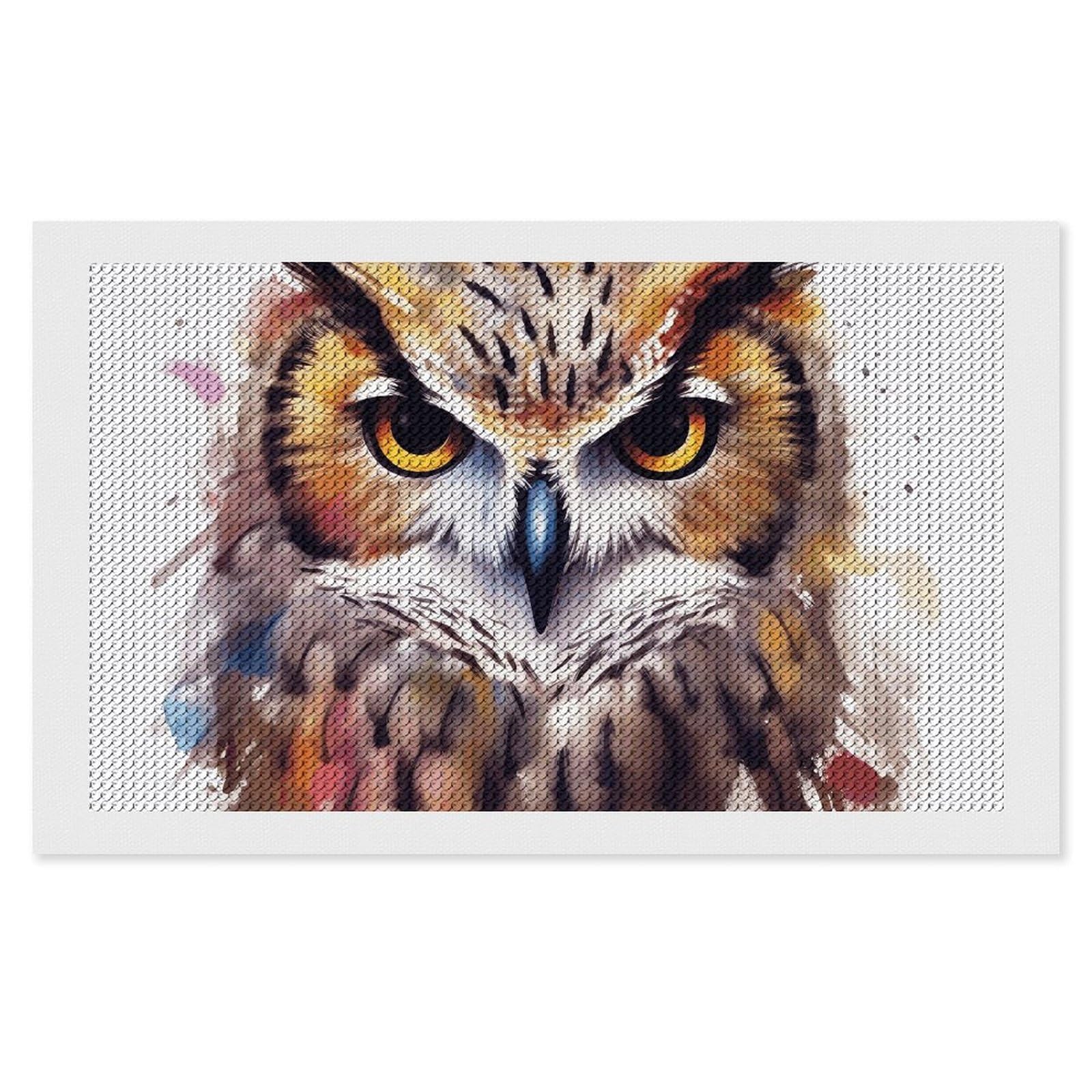 Diamond Painting Kits for Adults - DIY Diamond Art Kits for Beginners - Full 5D Paint Drill Diamond Dots Paintings- Watercolor Cool Owl Head Diamonds Pictures Gem Art And Craft Wall Decor 12"x20"