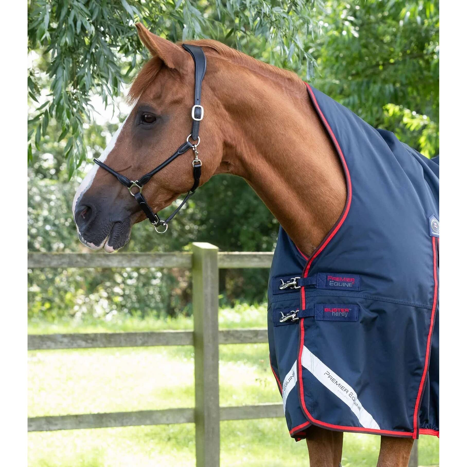 Coperta impermeabile per cavalli Premier Equine Buster Hardy 200 g