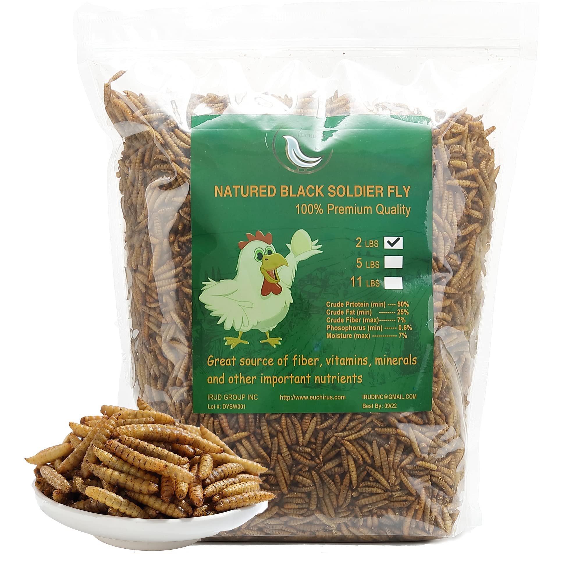 Buy Euchirus NonGMO HighProtein Large Dried Black Soldier Fly Larva