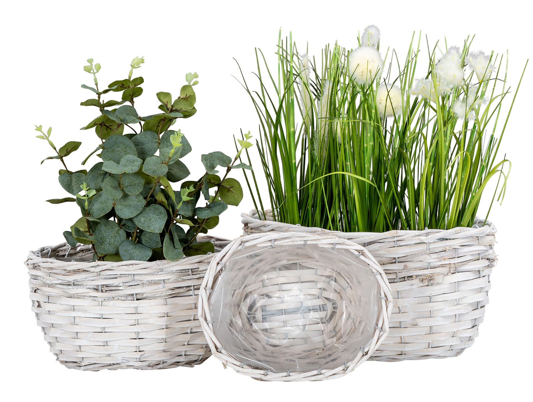 6 Cesti Per Bulbi Da Fiore Com-four - Vaso Propagazione, Protezione Arvicole - Foto 4