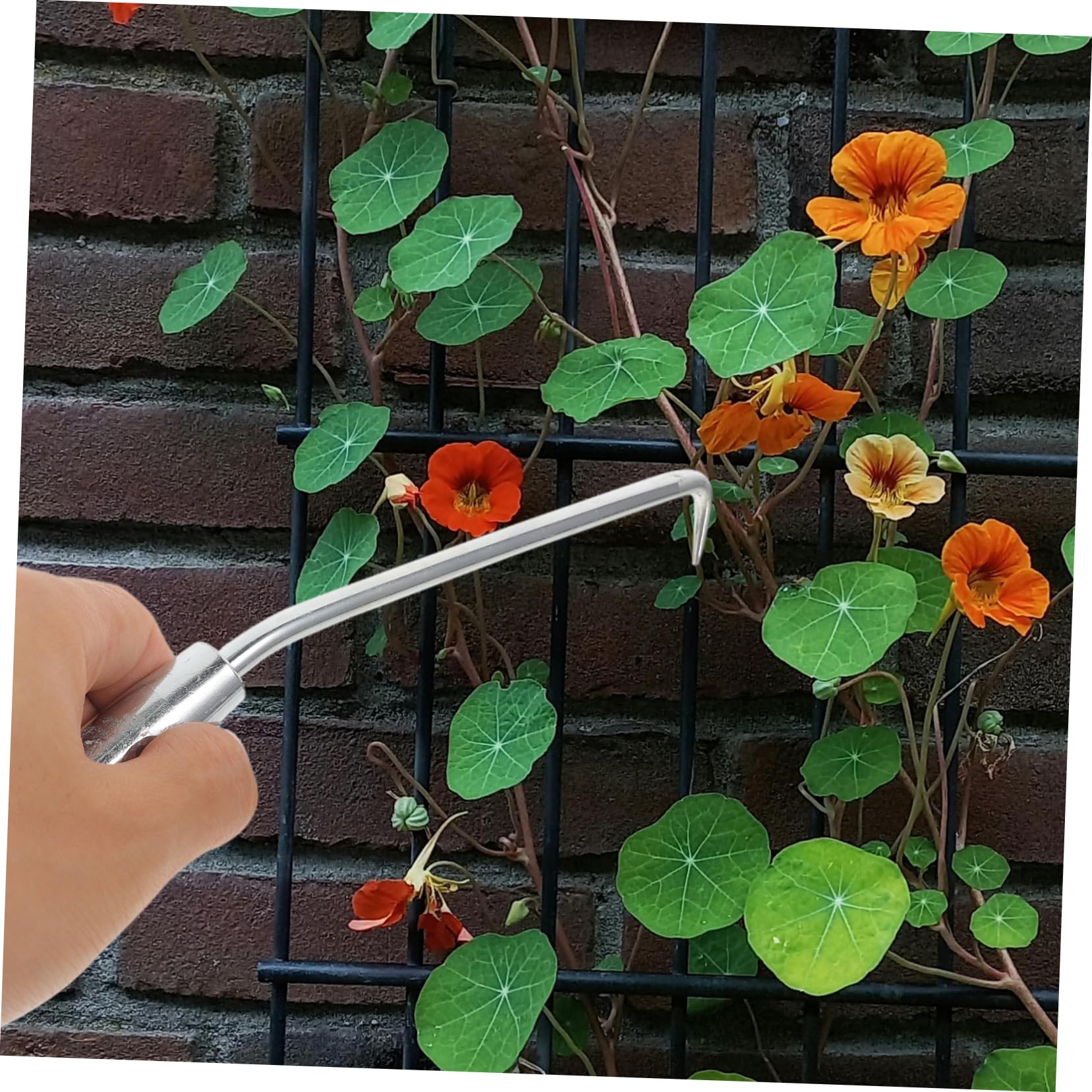 SUPVOX 8pezzi Gancio Tying Resistente per Strumento Portatile per Rampicanti e Recinzioni per Assicurare Strutture Giardinaggio