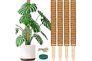 Stackable Moss Poles for Climbing Plants - 4 Pack