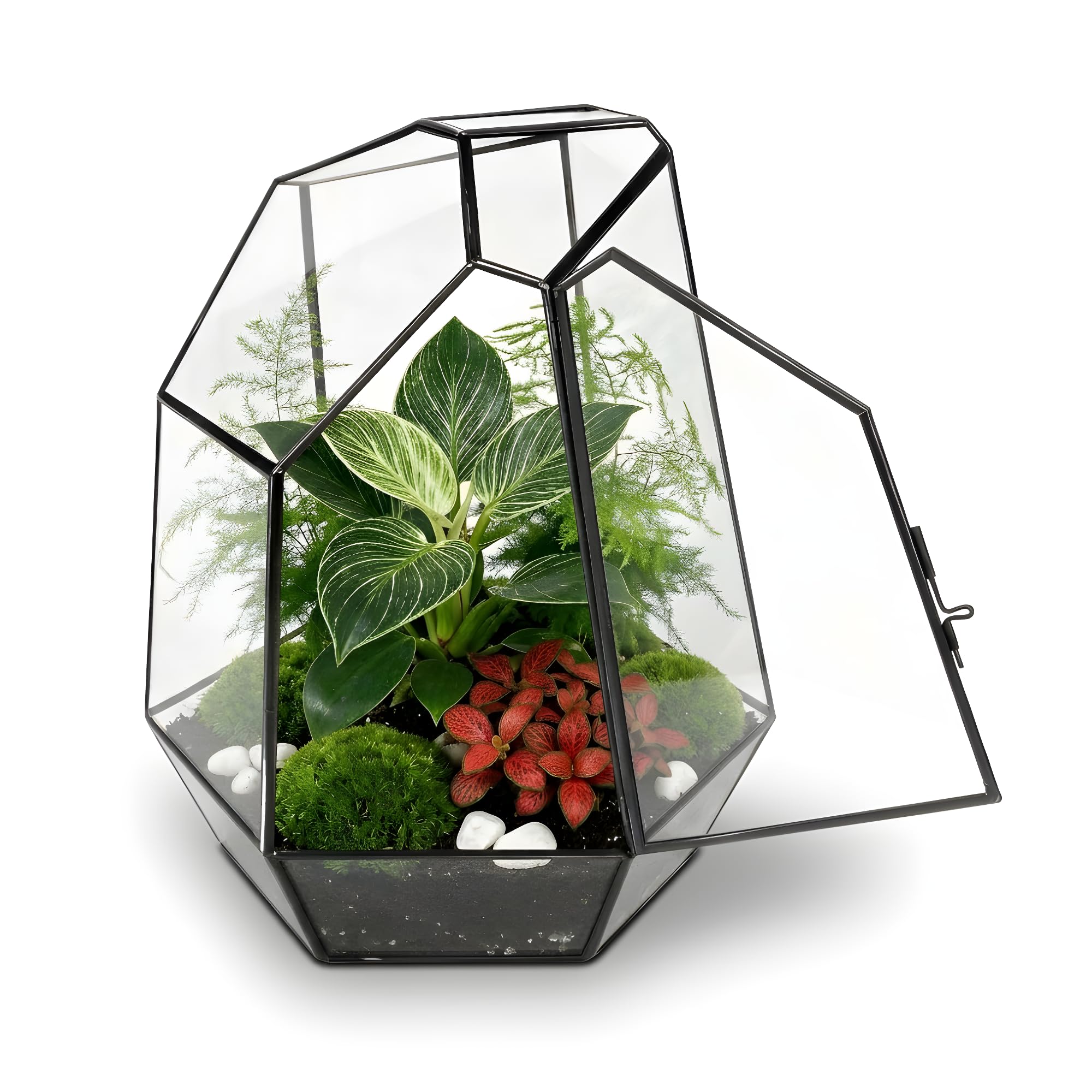 Noctis - Kit de Terrarium Complet DIY pour Plantes avec Substrat et 10 Outils Inclus - Structure en Verre - Design Géométrique - Écosystème Autonome, Coffret Créatif (sans Plantes)