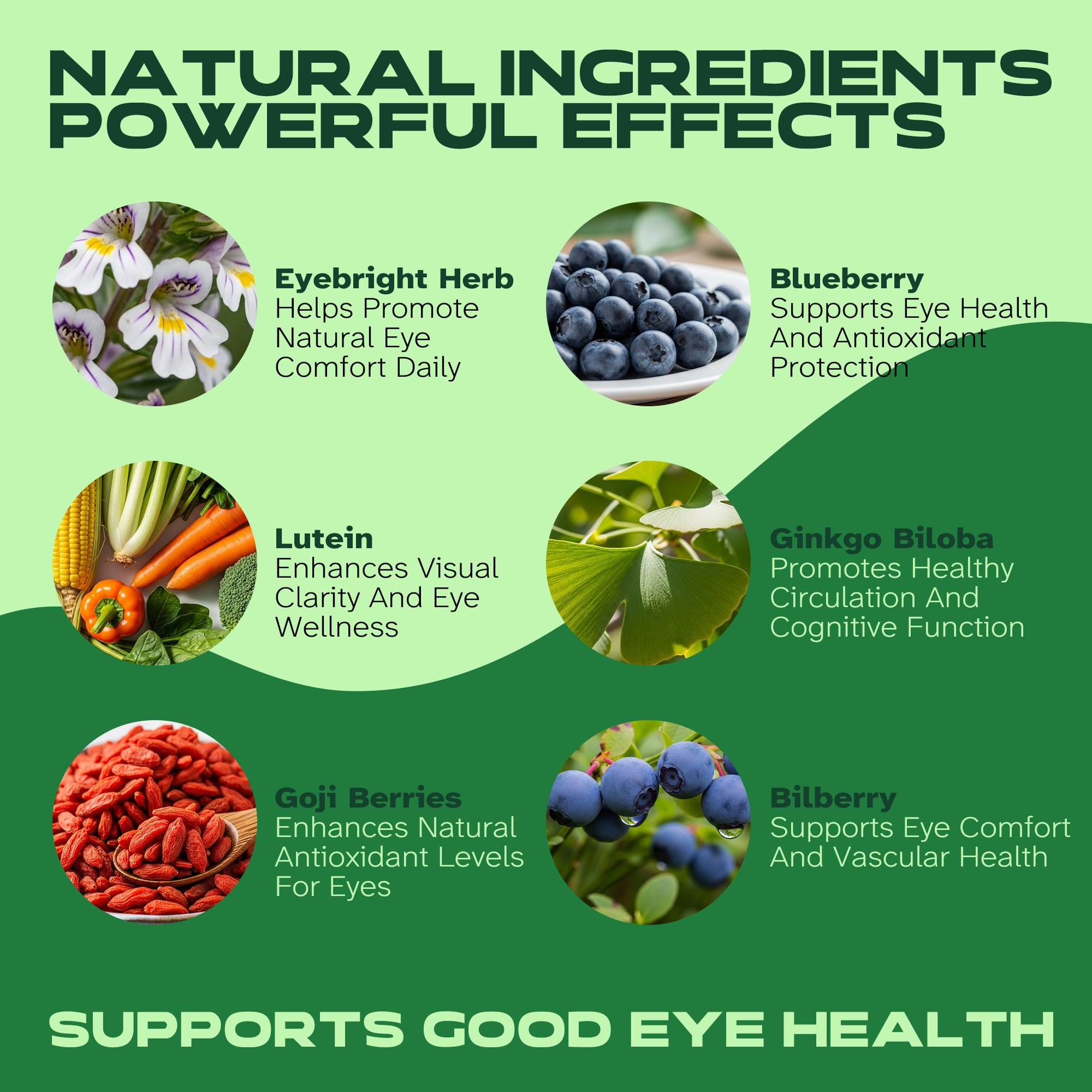 Eyebright Herbal Liquid with Organic Euphrasia, Lutein, Bilberry, Blueberry & Goji – Plant-Based Vegan Supplement for Adults – 2 fl oz — Amazon image 2