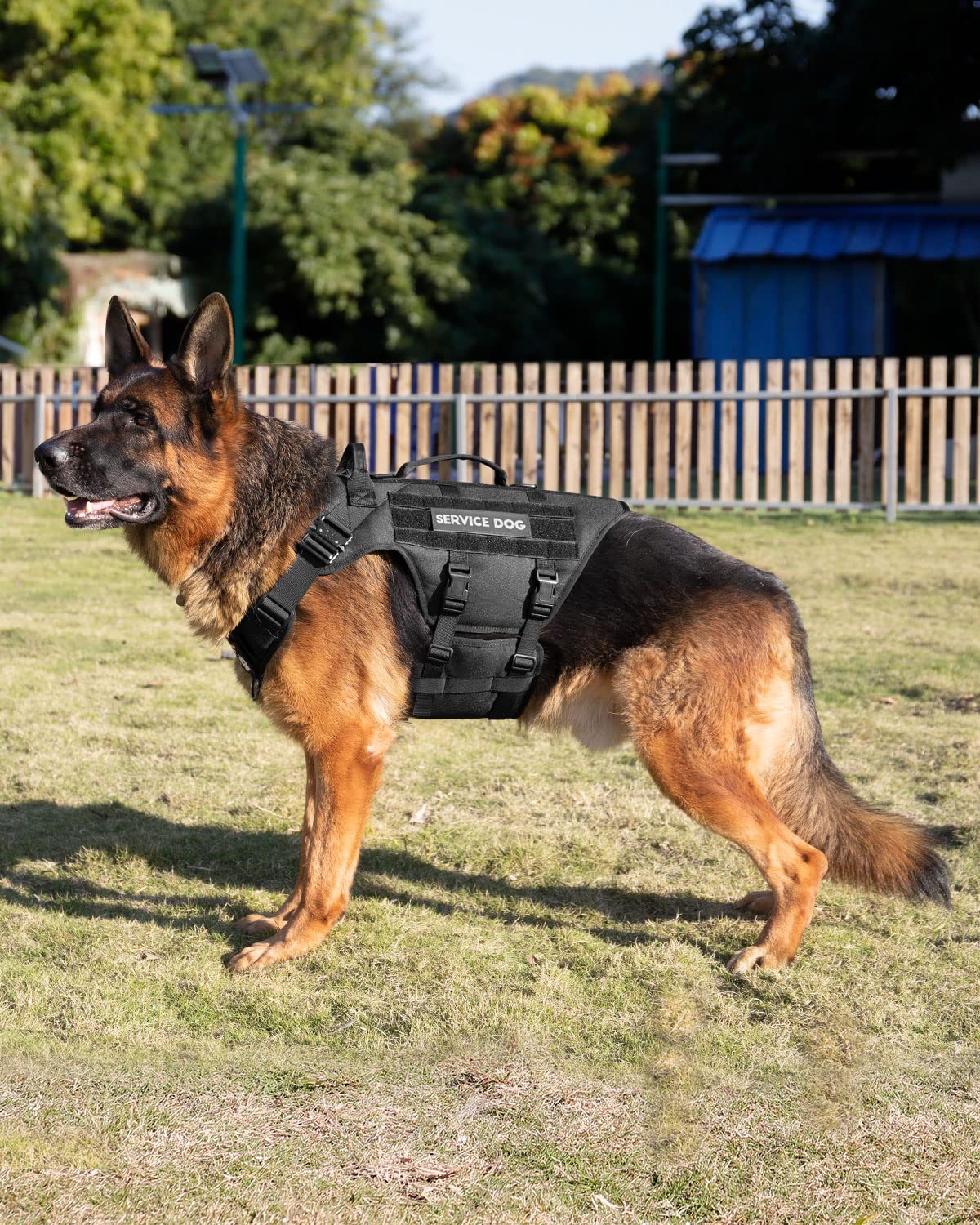 Arnés táctico para perros – Chaleco de servicio PETNANNY para perros grandes, cobertura completa del cuerpo en el arnés de entrenamiento para perro con 2 parches reflectantes para perros, asa, paneles