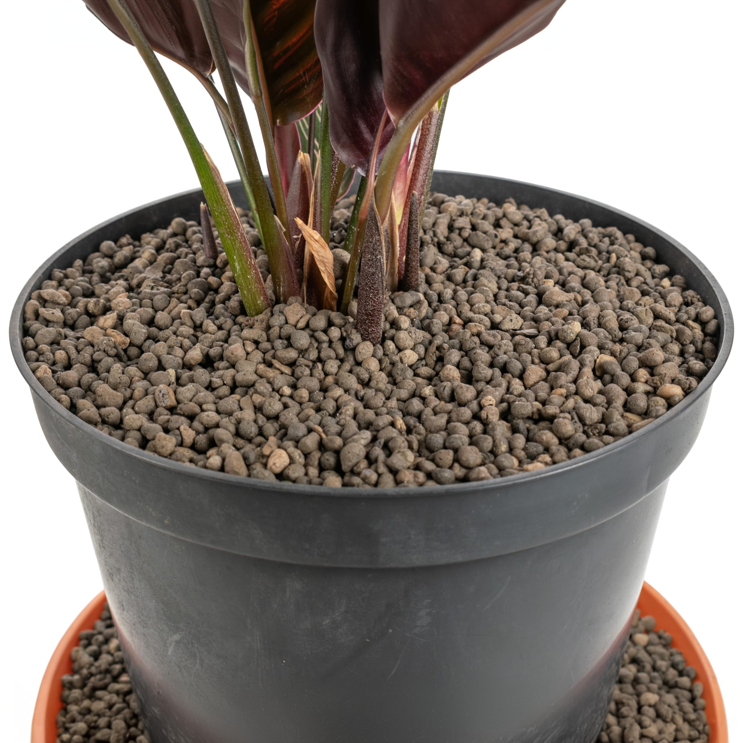 Cost Wise Clay Pebbles for Plants Pebbles & Hydroponics - LECA Clay Ball, Indoor & Outdoor,3 sizes,pack size 1-20l (1-4mm x1litre)