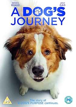 その他 A Dog's Journey / A Dog's Purpose [DVD] 8139xcuM-iL._UF350,350_QL50_.jpg