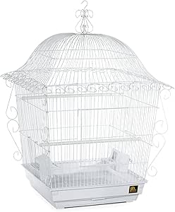Produtos Para Animais De Estimação Playground Prevue Hendryx | Frete grátis