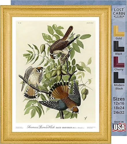 Miniatura 10 de Póster enmarcado con diseño de cuervo de pescado de James Audubon para decoración de pared  Pósteres e imágenes de reproducción de pinturas de obras