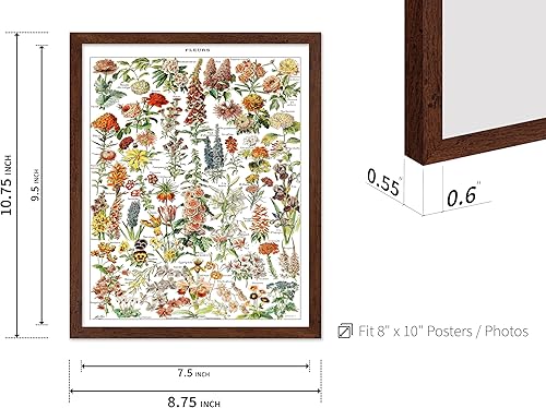 Miniatura 383 de Poster Master Póster vintage de orquídea, estampado de flores retro, arte de pared de plantas exóticas, arte botánico, regalo para hombres y