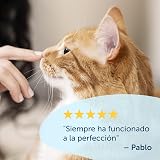 Ver la foto 7