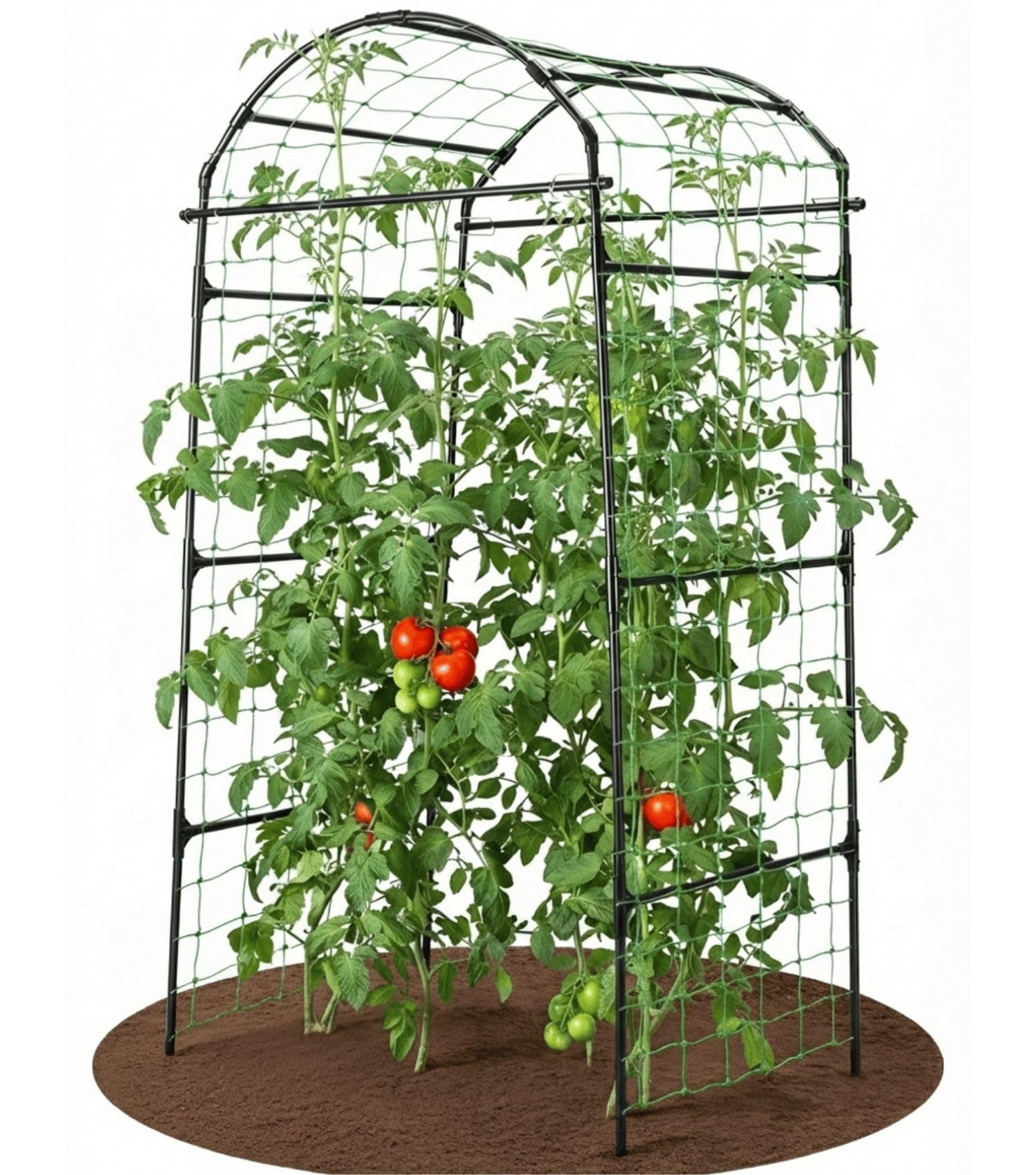 BAXAM 79 in Garden Trellis Arch