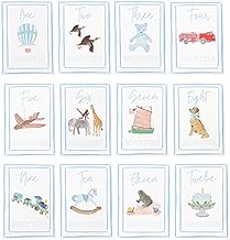Boy Watercolor Milestone Cards - My First Monthly Milestone Cards,Blue B...