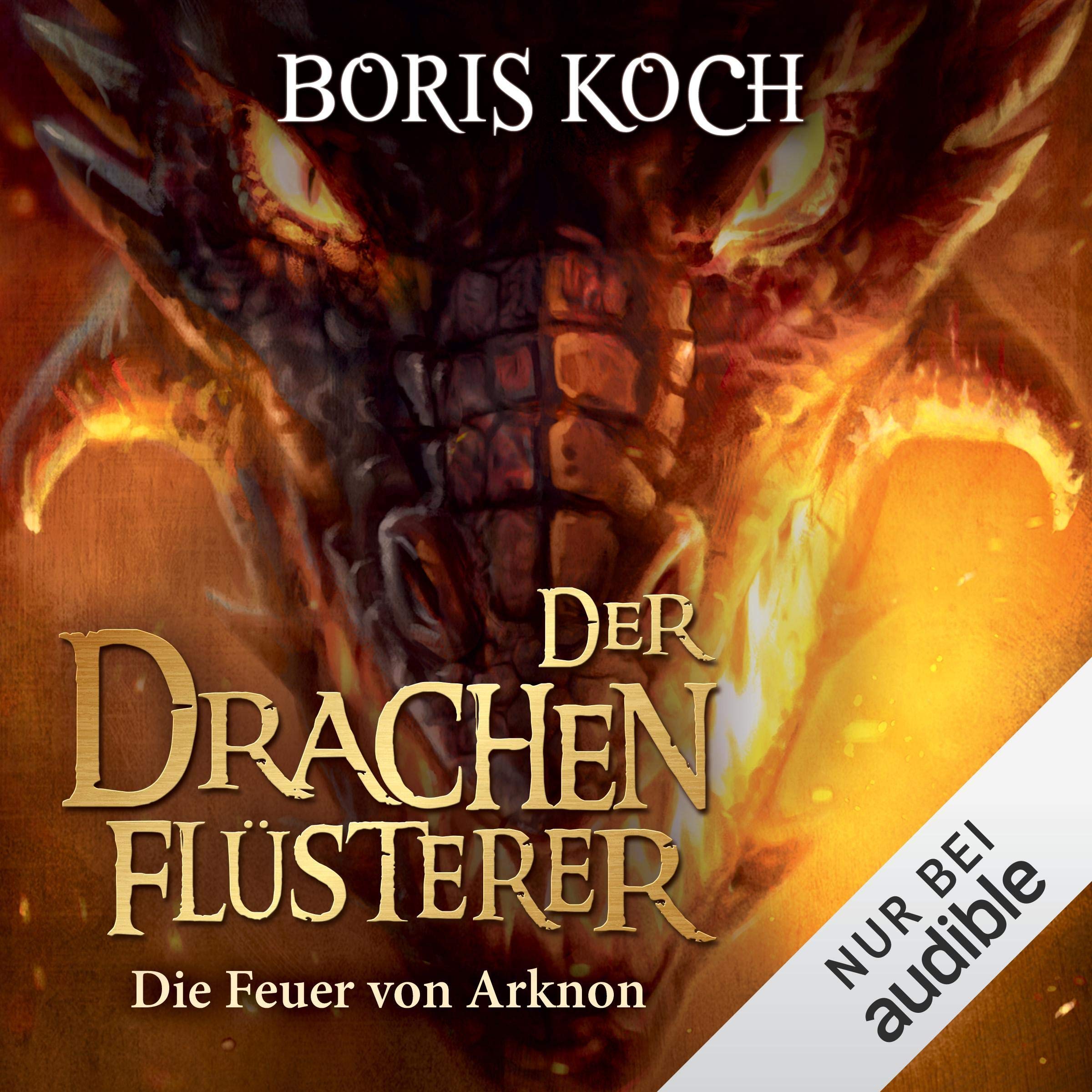 Cover art for Die Feuer von Arknon