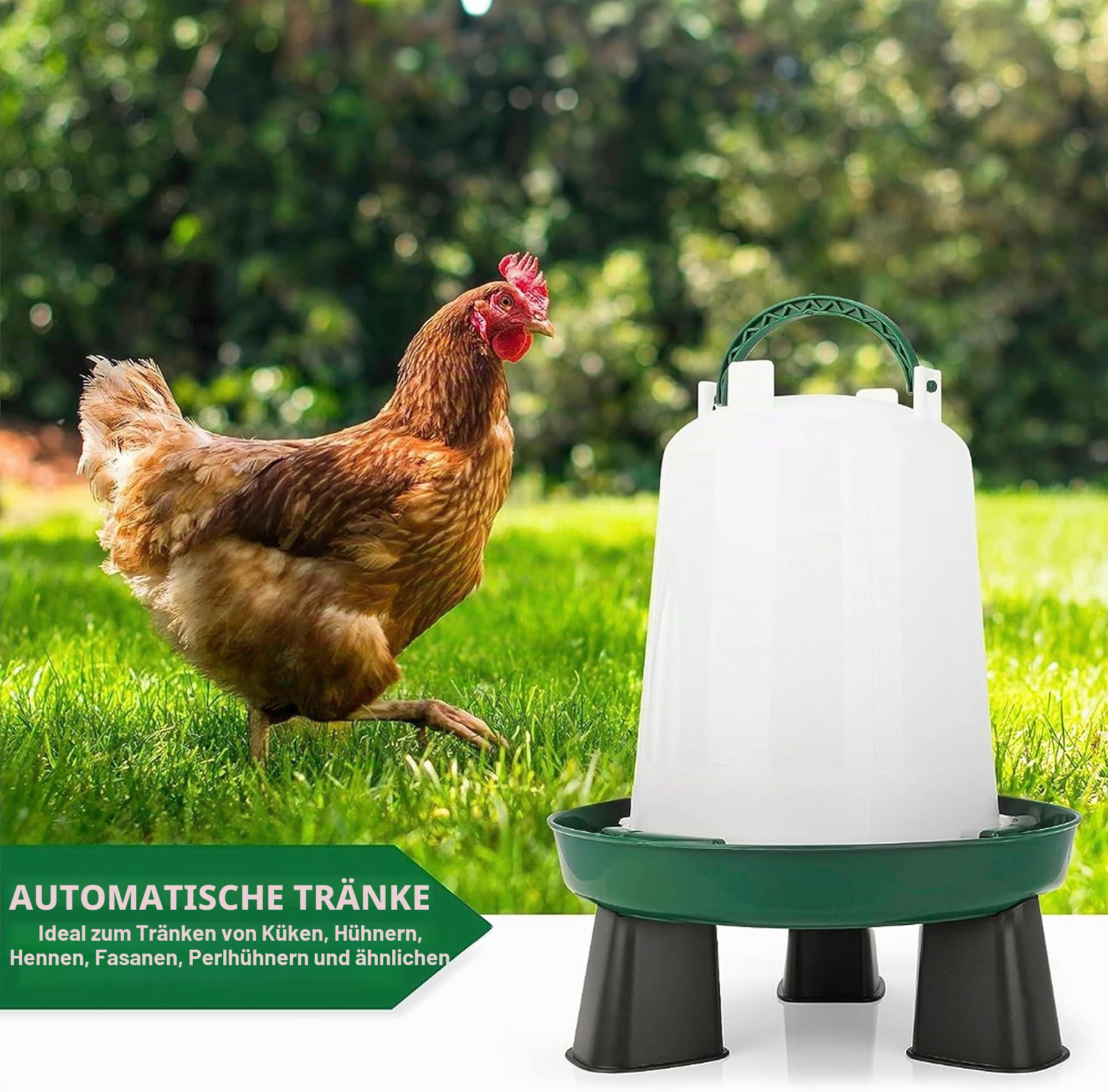 Futterstation für Hühner 2 kg und Tränke für Hühner 3 l – aus robustem transparentem Kunststoff – abnehmbare Füße