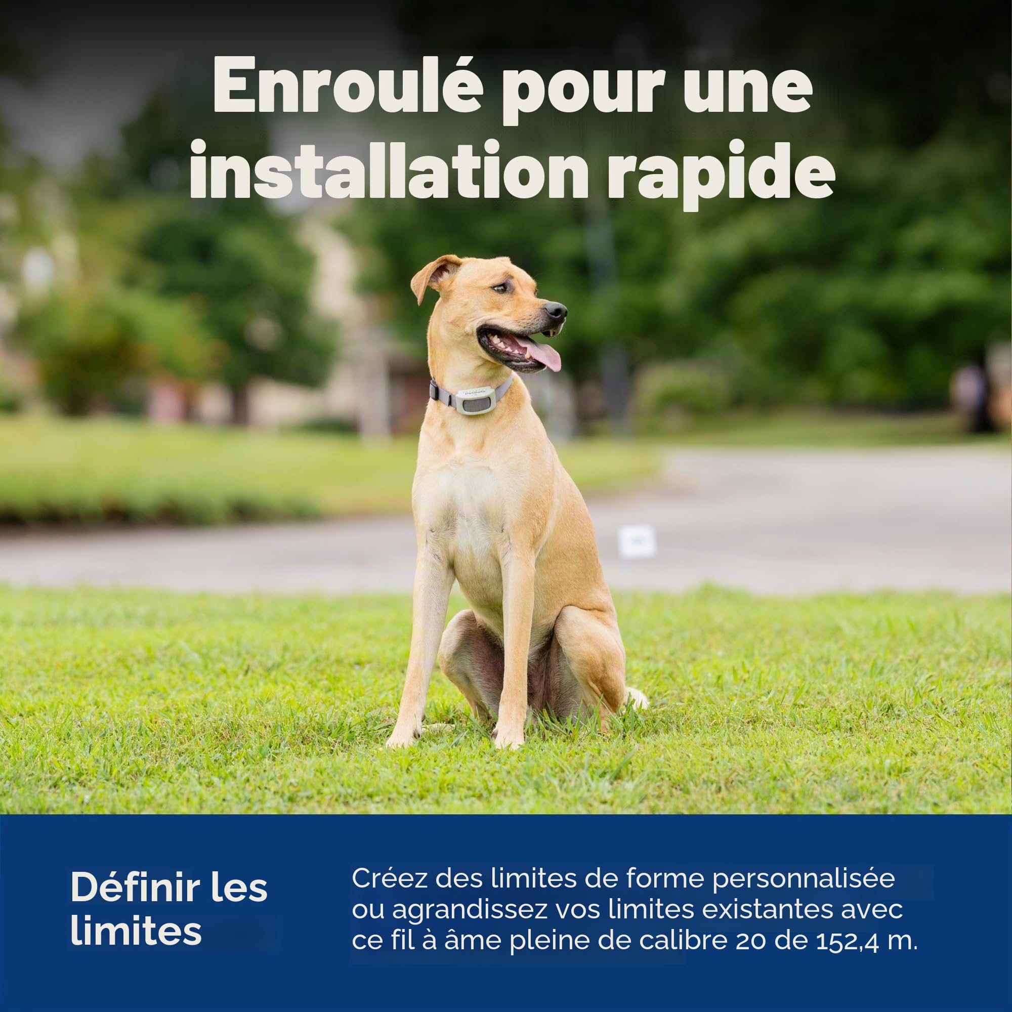 PetSafe Boundary Wire Bobine de Fil de cuivre Solide de Calibre 20, Fil de clôture enterré pour Animaux de Compagnie, Les Couleurs Peuvent Varier, de la société mère de la Marque Invisible Fence