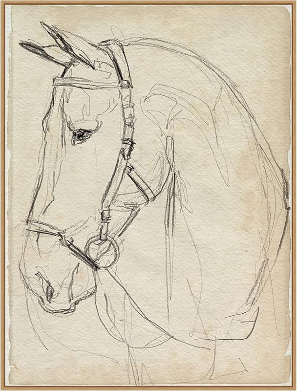 Amanti Art Horse in Bridle Framed Canvas — $268