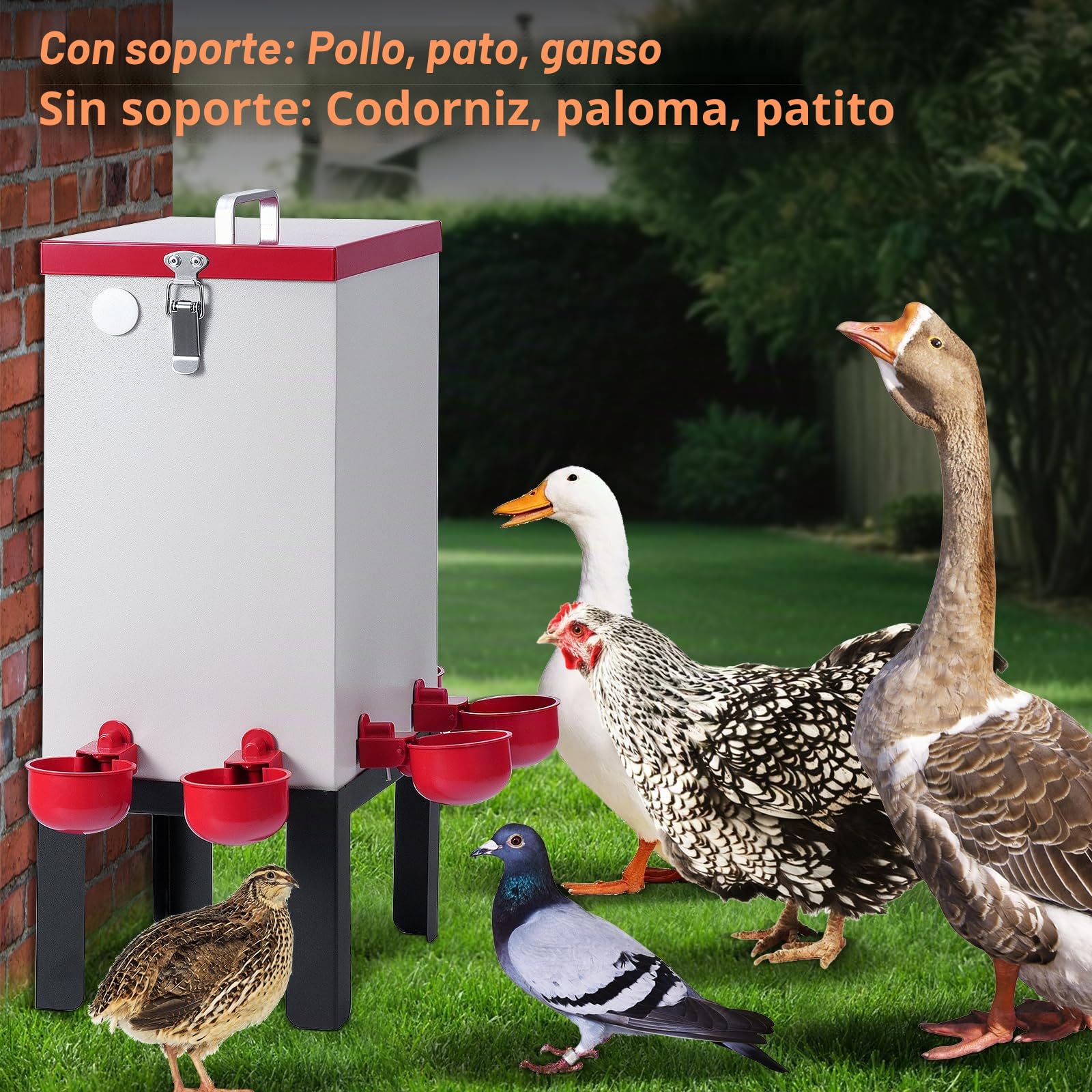 Bebedero Automático para Pollos de Acero Inoxidable de 11 litros con Válvula de Flotador, Cuencos de Agua, Soporte de Suelo y Manguera, Máquina para Beber Pollos para Codornices, Patos, Gansos, Pavos