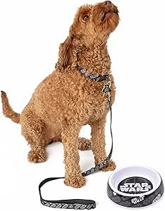 STAR WARS Hundespielzeug Darth Vader – 23 Cm, Weich, Quietschend – Offizielles Lizenzprodukt Für Hunde