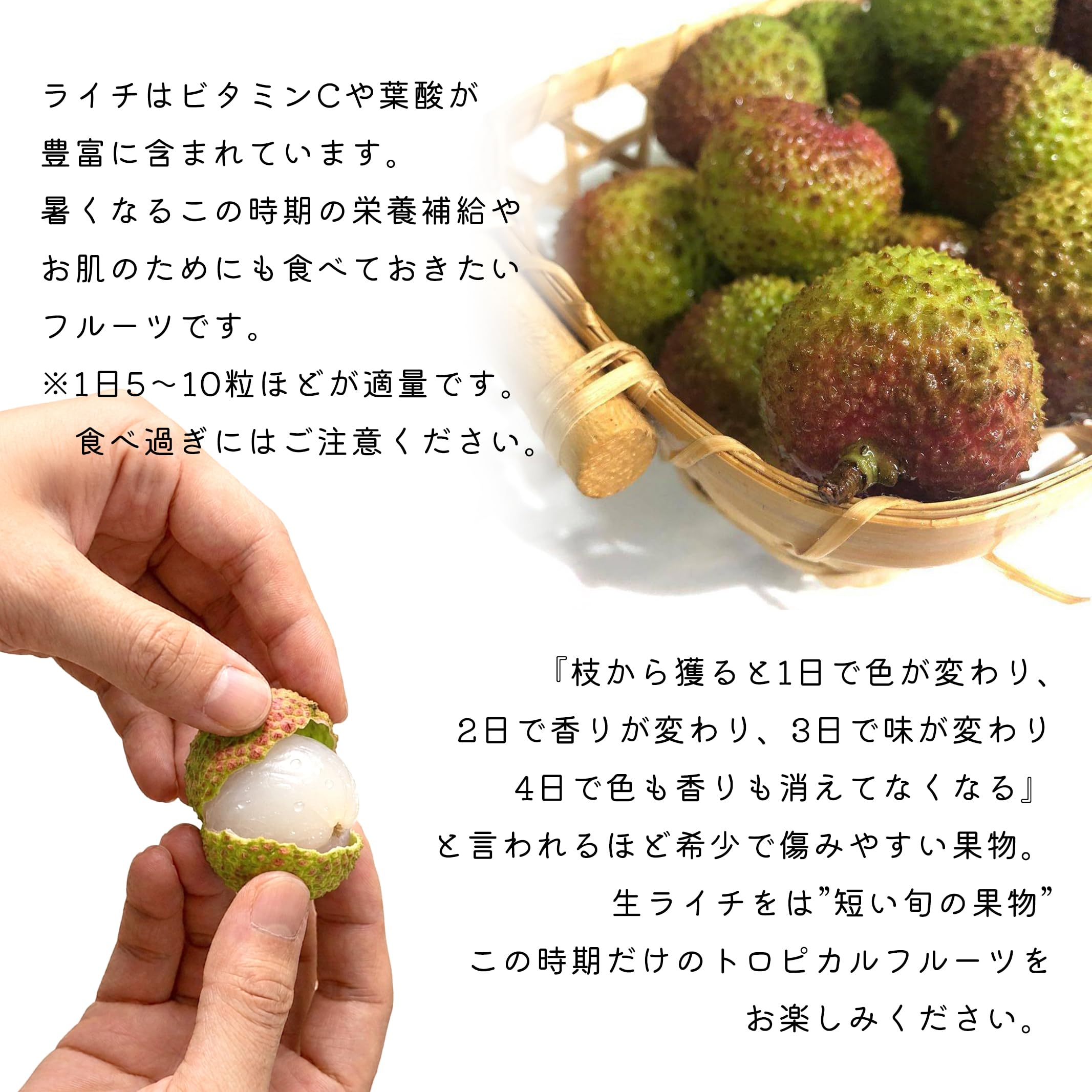 Amazon.co.jp: グリーンライチ 約1㎏【 妃子笑 】トロピカルフルーツ
