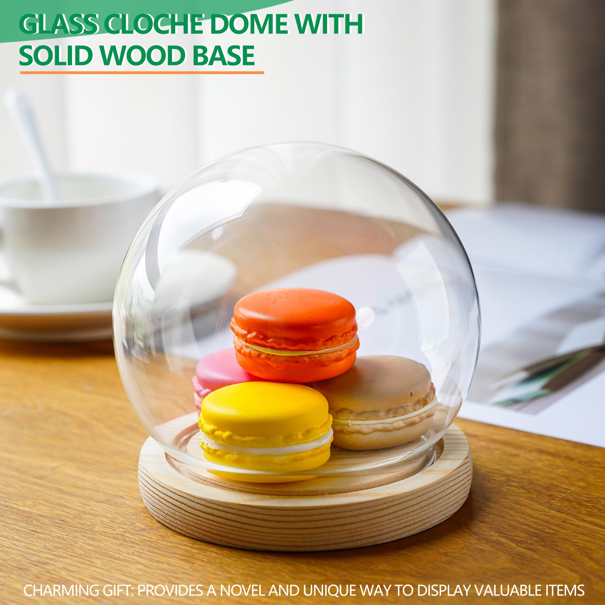 Round Glass Display Dome Cloche with Wooden Base for Home Decoration Diameter 4.7 Inches