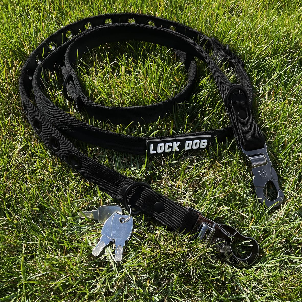 Hundeleine 2.0 LOCK DOG Schnitt und bissfest + 2 Schlösser und 3 Schlüssel sicher abschließen Leine/Halsband Anti-diebstahl schnittfest NEU…