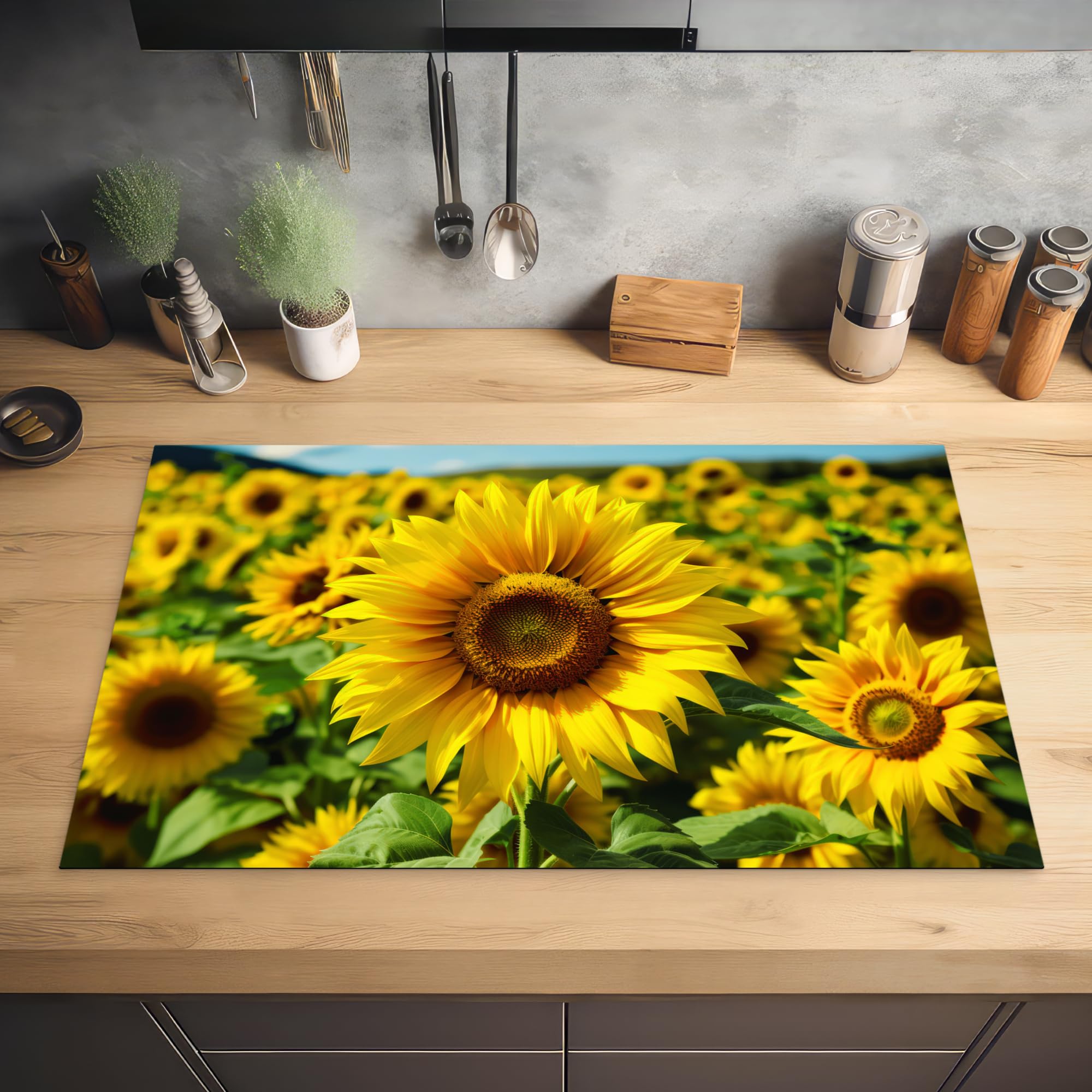 View 2