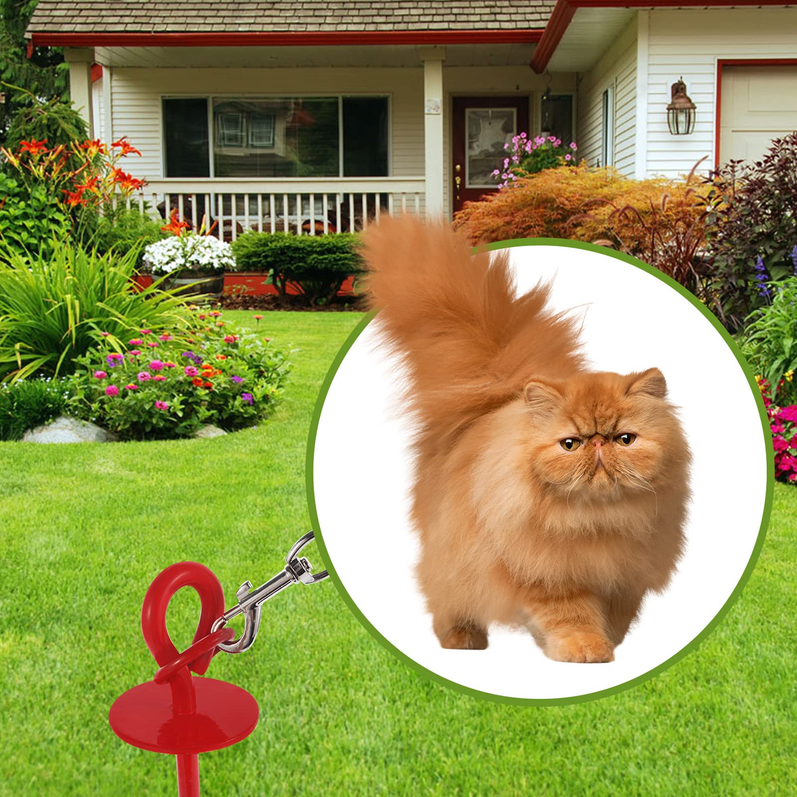 Picchetto Da Esterni per Guinzaglio, Guinzaglio per Cane con Picchetto Elicoidale A Terra, Guinzaglio per Esterni, Picchetto per Ancoraggio per Cani per Esterno Come Cortile e Campeggio