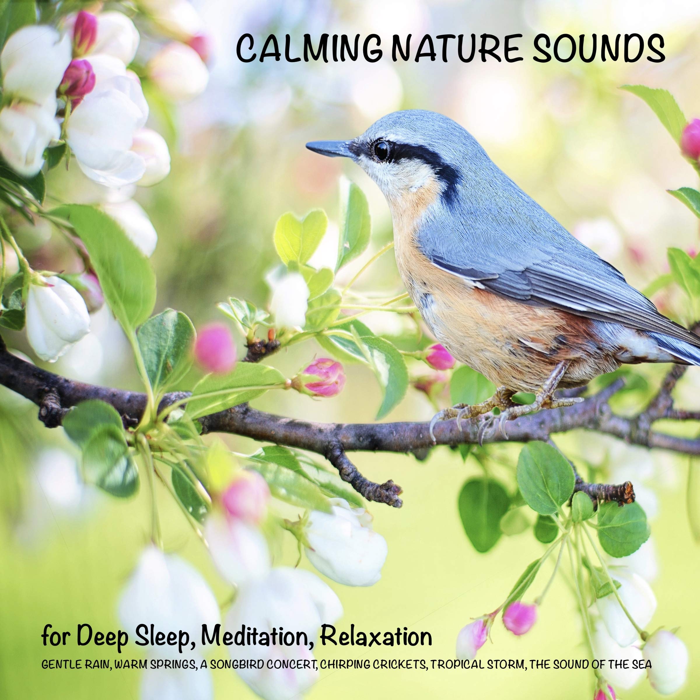 Cover art for Calming Nature Sounds (without music) for Deep Sleep, Meditation, Relaxation