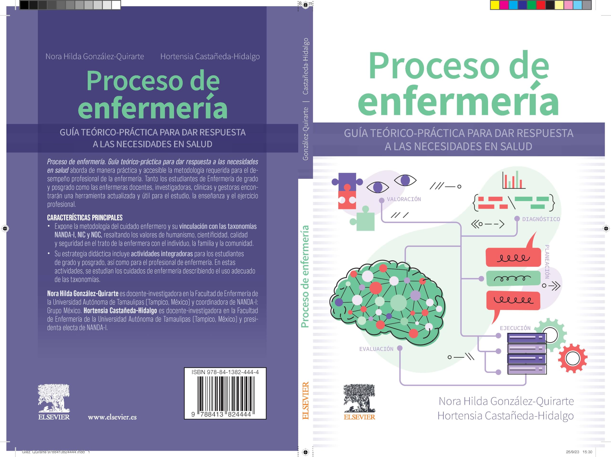 Proceso de enfermería: Guía teórico-práctica para dar respuesta a las necesidades en salud