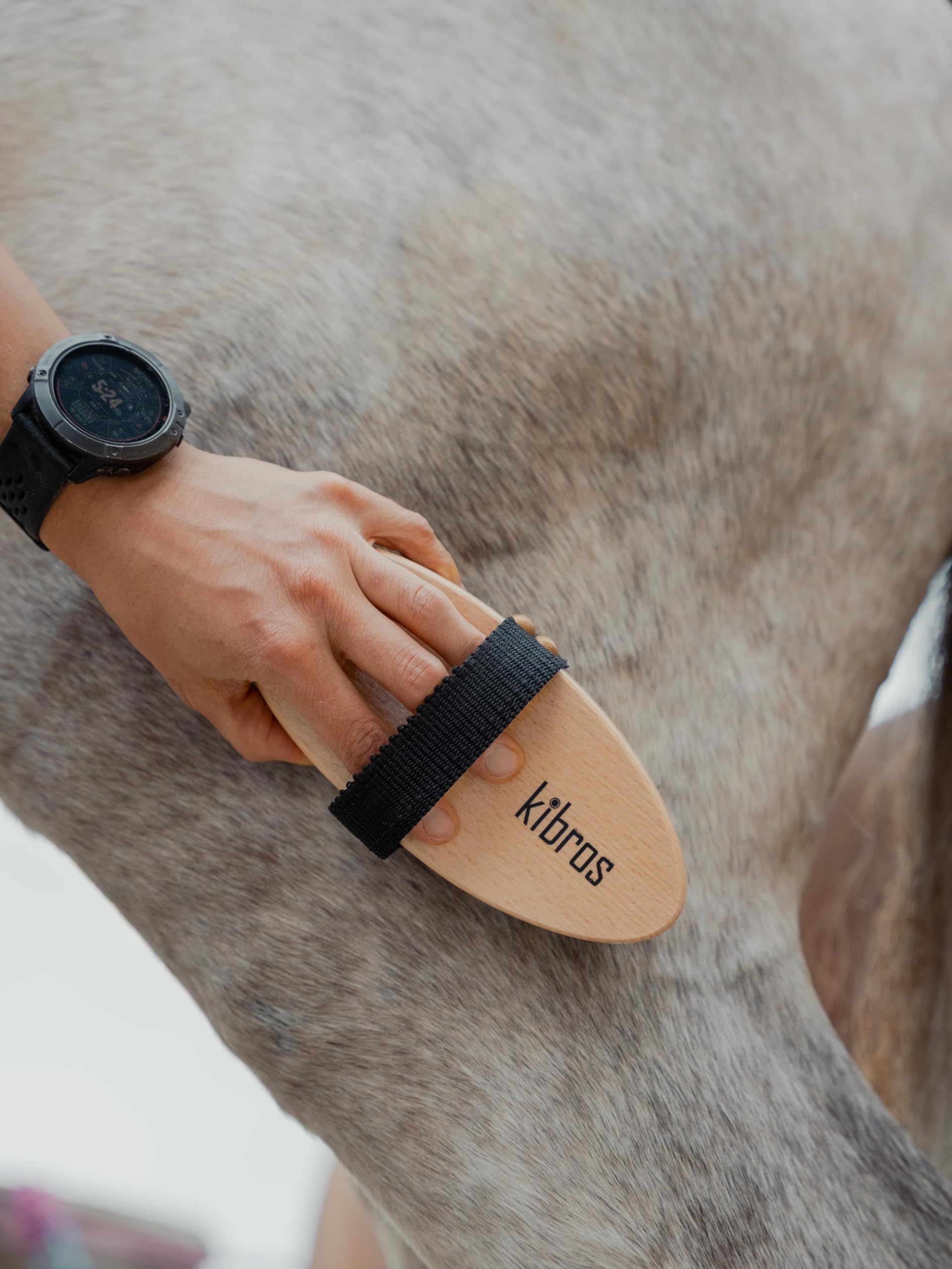KIBROS LOTEQUIT6 Kit completo per la cura del cavallo | Set di 6 spazzole da equitazione premium per cavalli e pony | Pulizia del corpo, della testa e degli zoccoli | Prodotto in Francia | KIBROS