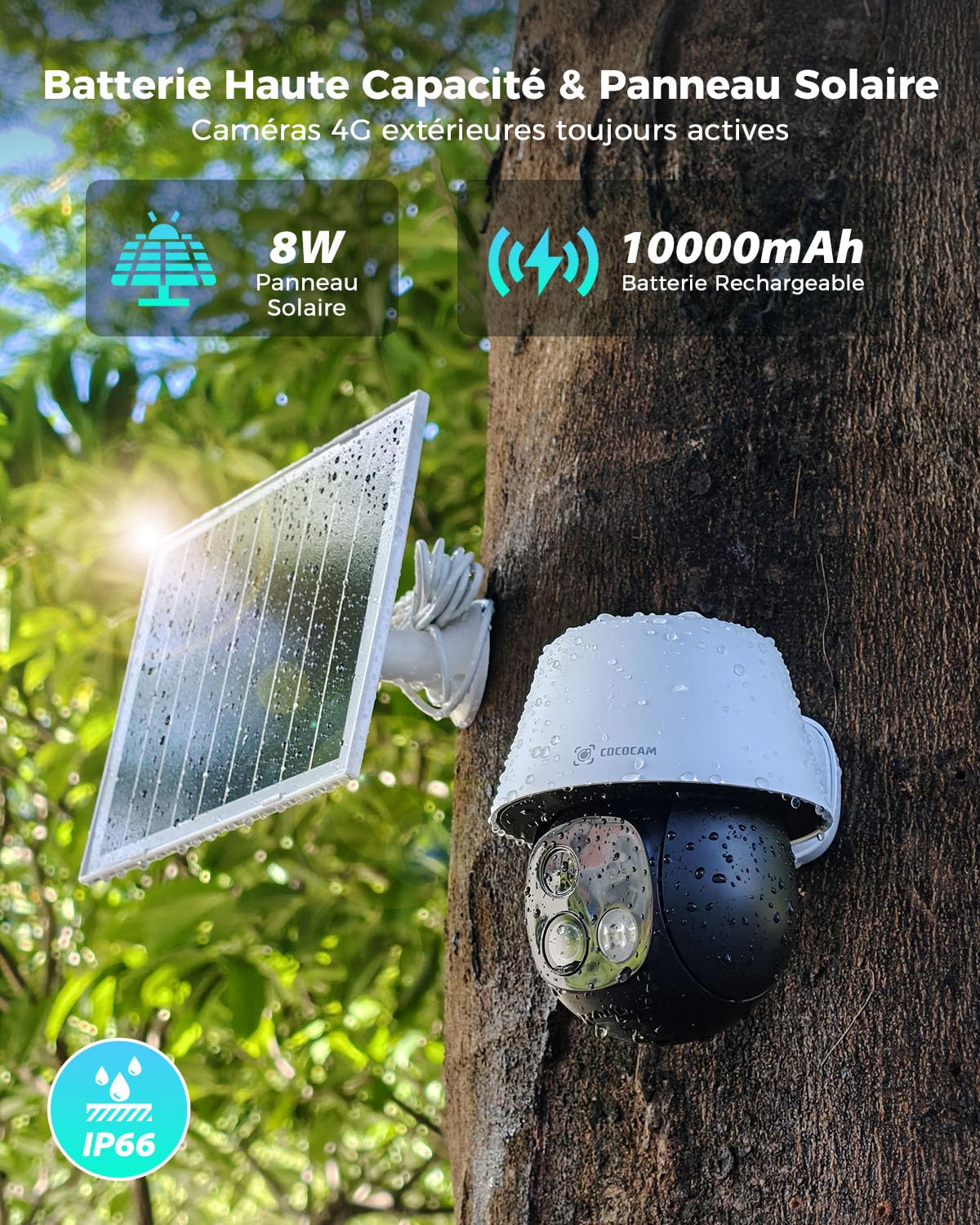 COCOCAM 24/7 Enregistrement AOV 4G Camera Surveillance Exterieur sans Fil