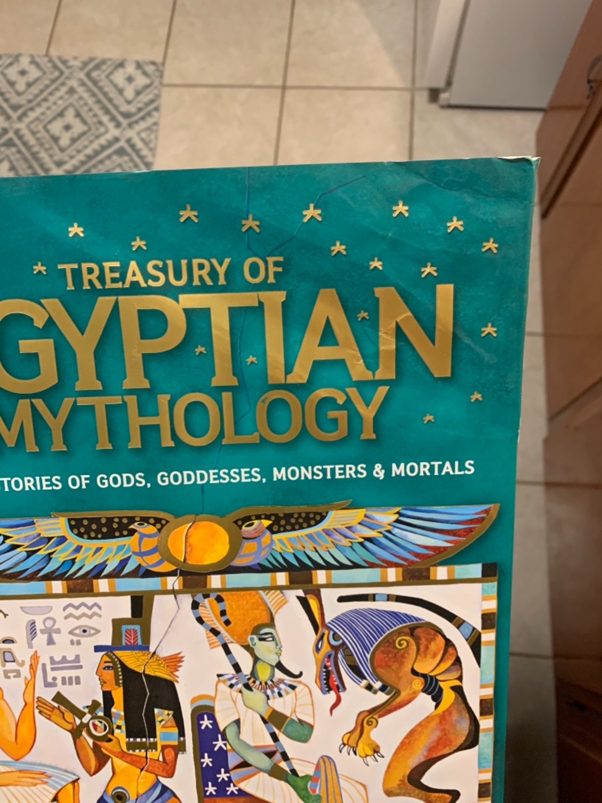 Received a damaged book