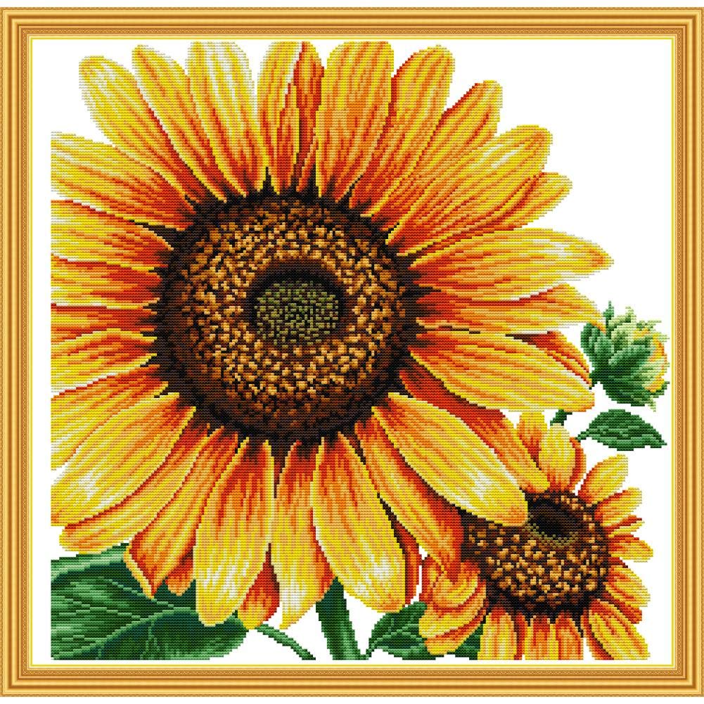 ITSTITCHStamped Cross Sch Kits Pre-Printed Cross-Sching Starter Kit for Beginners Adults, Embroidery Needlework Kits Wall Decorations (Stamped 24.8×24.4 inch)