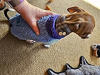 Review Image by Ann Ann