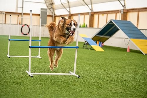 Miniatura 9 de Better Sporting Dogs Juego de curso de agilidad para patio trasero, 7 piezas de equipo de entrenamiento de agilidad para interiores y exteriores
