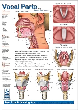 Blue Tree Publishing Vocal Parts Card